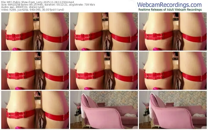 2025/11/28/mfc-iam_lorry-11-23-24