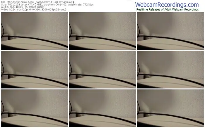 2025/11/28/mfc-iam_sasha-12-04-06