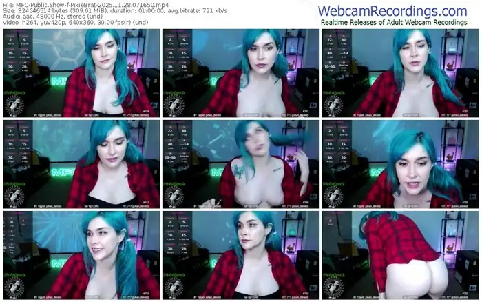 2025/11/28/mfc-pixiebrat-07-16-50