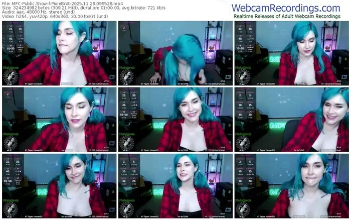 2025/11/28/mfc-pixiebrat-09-55-28