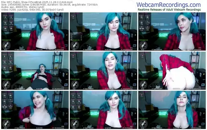 2025/11/28/mfc-pixiebrat-11-14-44