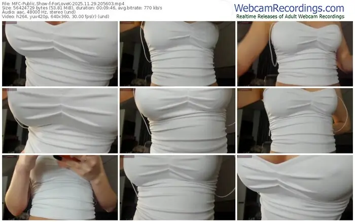 2025/11/29/mfc-forlovek-20-56-03