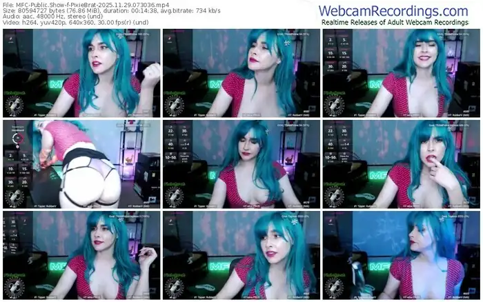 2025/11/29/mfc-pixiebrat-07-30-36