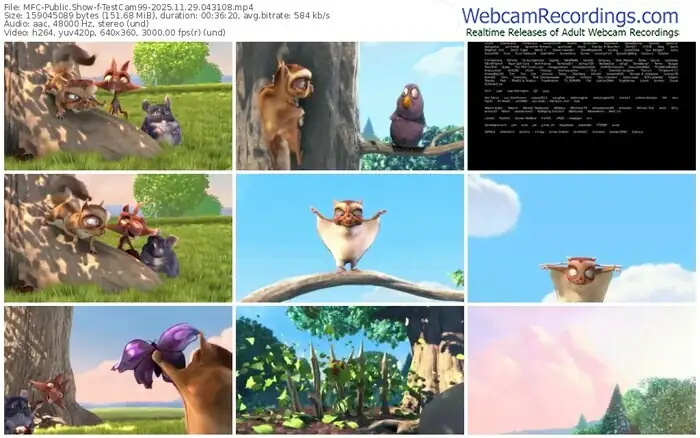 2025/11/29/mfc-testcam99-04-31-08