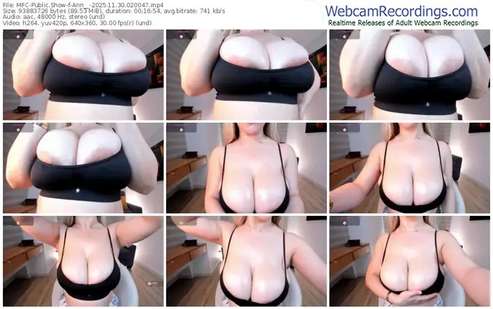 2025/11/30/mfc-ann__-02-00-47