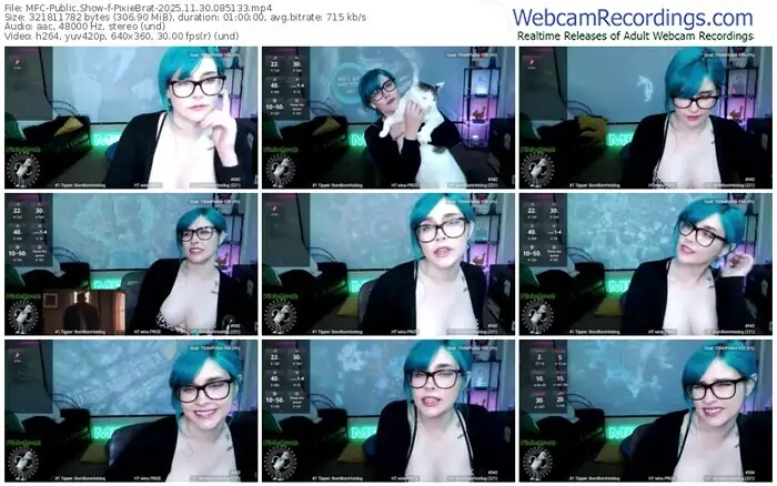2025/11/30/mfc-pixiebrat-08-51-33