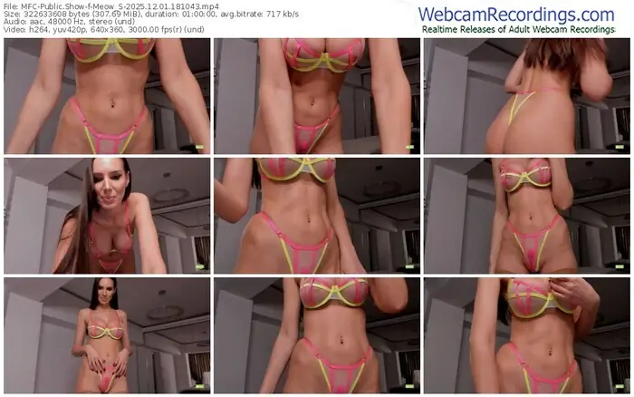 2025/12/01/mfc-meow_s-18-10-43