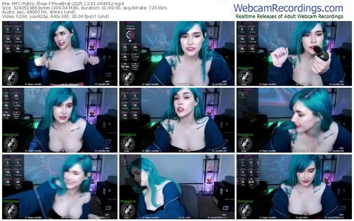 2025/12/01/mfc-pixiebrat-04-49-52