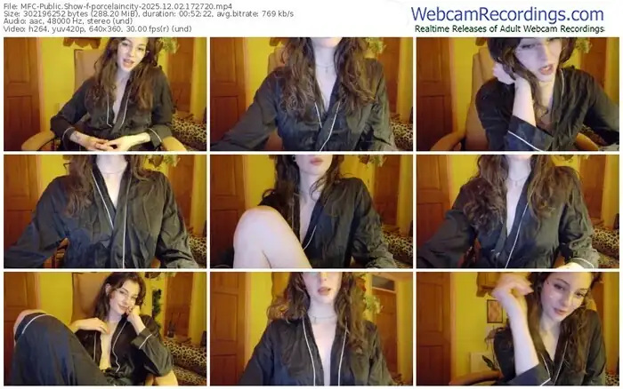 2025/12/02/mfc-porcelaincity-17-27-20