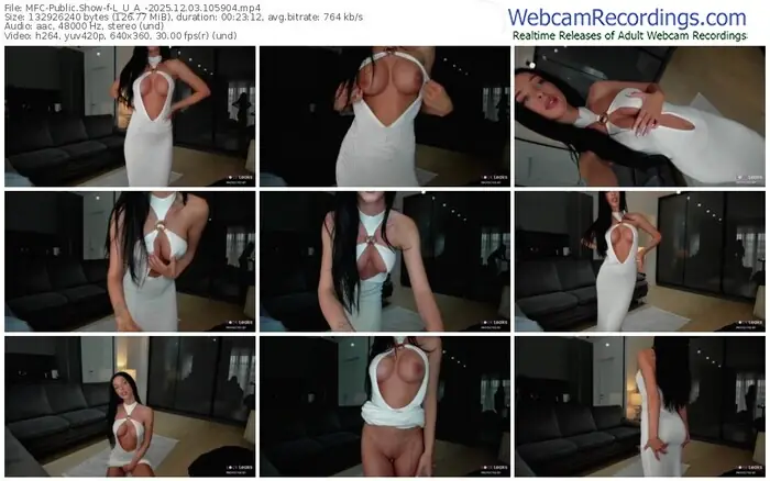 2025/12/03/mfc-l_u_a_-10-59-04