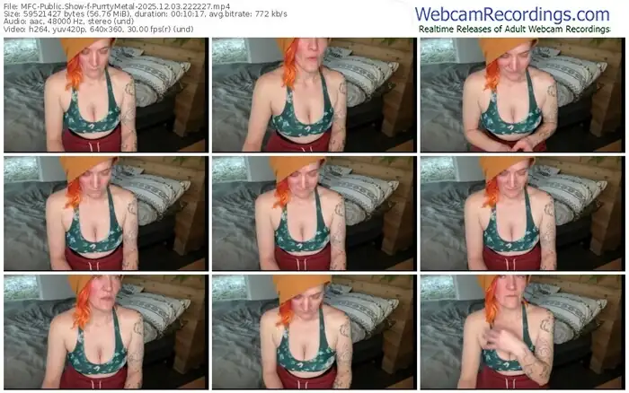 2025/12/03/mfc-purrtymetal-22-22-27