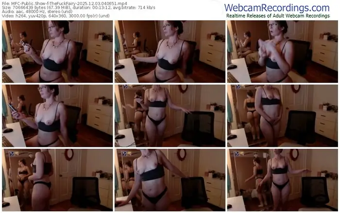 2025/12/03/mfc-thefuckfairy-04-06-51