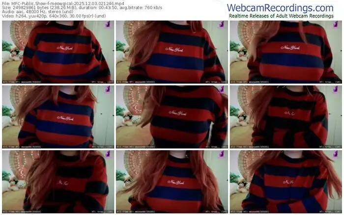 2025/12/03/mfc-meowgical-02-12-46