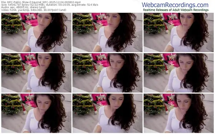 2025/12/04/mfc-squirrel_mfc-00-08-32