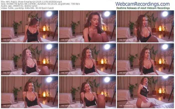 2025/12/05/mfc-harleyqx-00-33-30