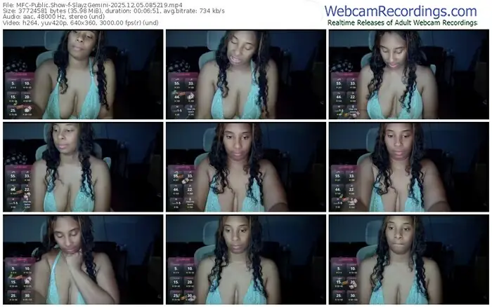 2025/12/05/mfc-slayzgemini-08-52-19