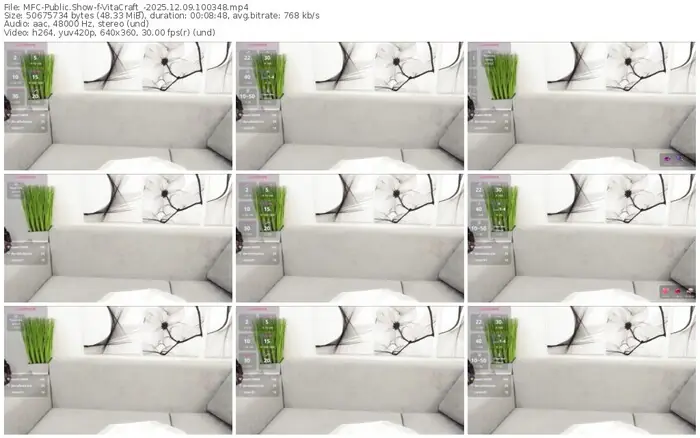 2025/12/09/mfc-vitacraft_-10-03-48