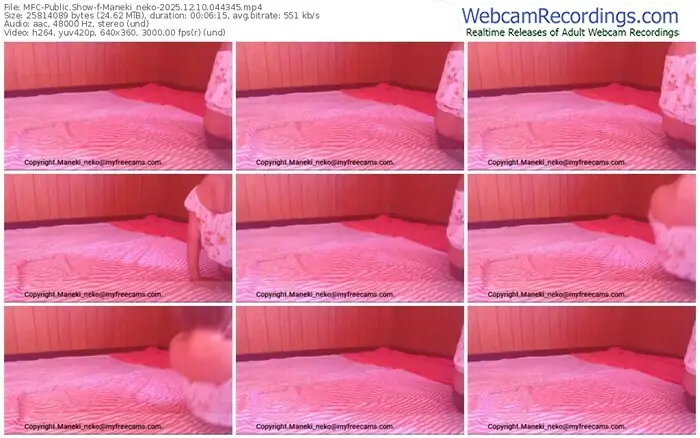 2025/12/10/mfc-maneki_neko-04-43-45