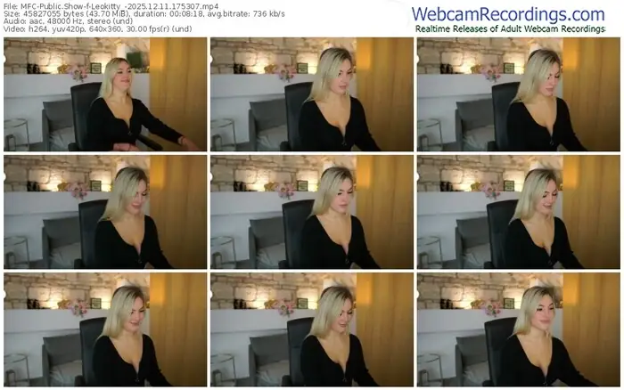 2025/12/11/mfc-leokitty_-17-53-07