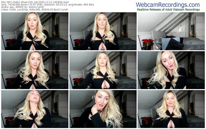 2025/12/11/mfc-mi_ha-16-28-26