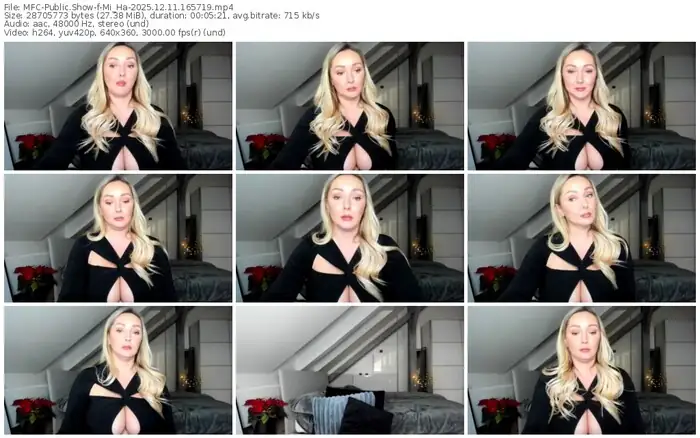 2025/12/11/mfc-mi_ha-16-57-19