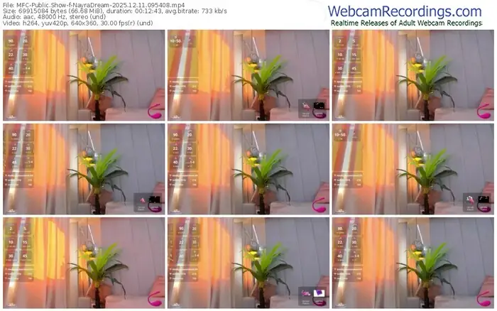 2025/12/11/mfc-nayradream-09-54-08