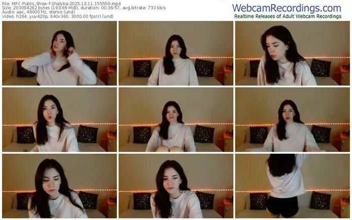 2025/12/11/mfc-shalyka-15-55-59