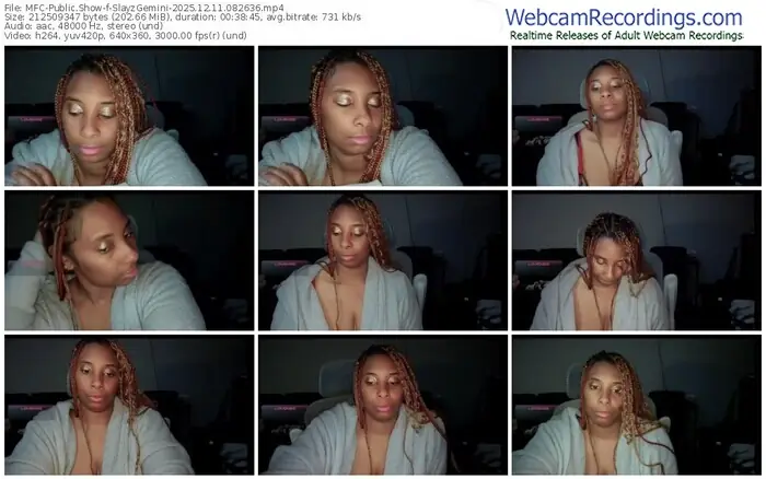 2025/12/11/mfc-slayzgemini-08-26-36