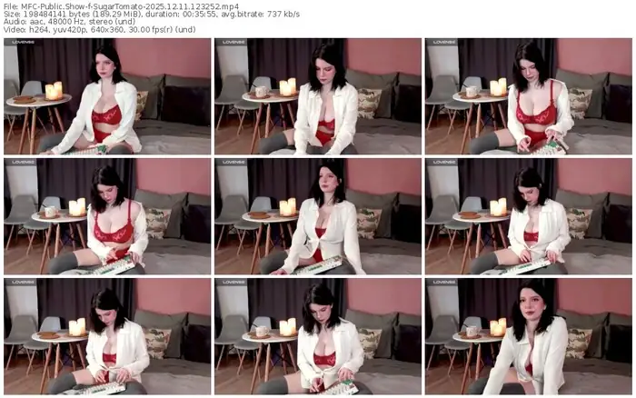 2025/12/11/mfc-sugartomato-12-32-52