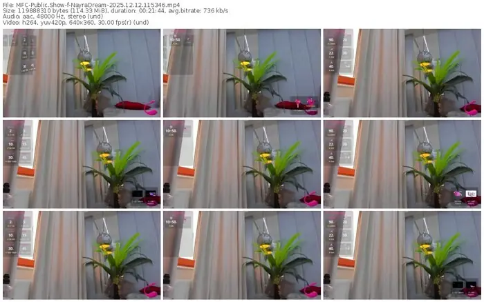 2025/12/12/mfc-nayradream-11-53-46