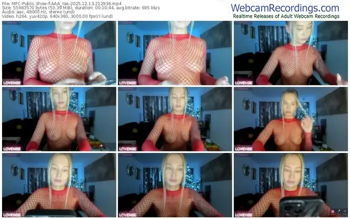 2025/12/13/mfc-aaa_yas-21-29-36