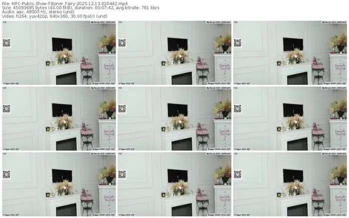 2025/12/13/mfc-boner_fairy-02-04-42