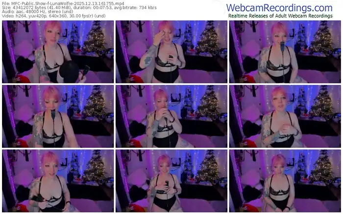 2025/12/13/mfc-lunawolfie-16-17-55