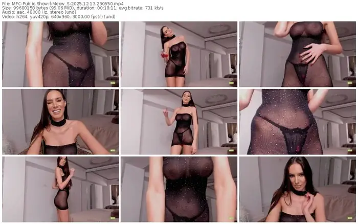 2025/12/13/mfc-meow_s-23-05-50