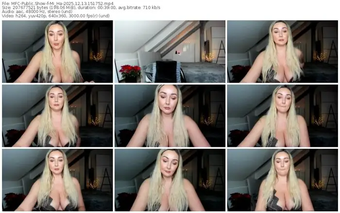 2025/12/13/mfc-mi_ha-15-17-52