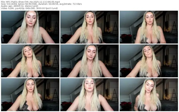 2025/12/13/mfc-mi_ha-16-41-05