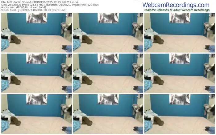 2025/12/13/mfc-nadinnne-16-20-17