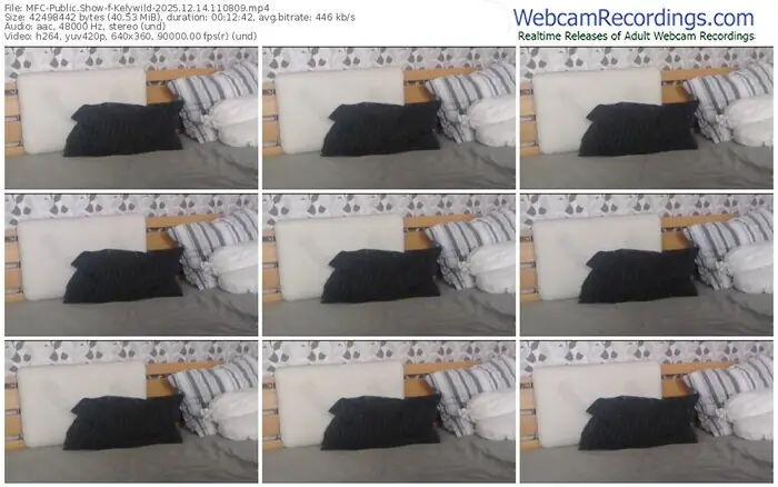 2025/12/14/mfc-kelywild-11-08-09