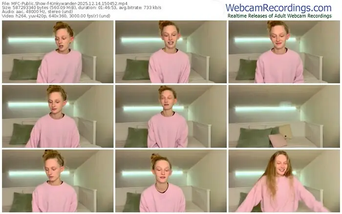 2025/12/14/mfc-kinkywander-15-04-52