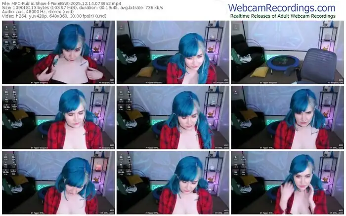 2025/12/14/mfc-pixiebrat-07-39-52