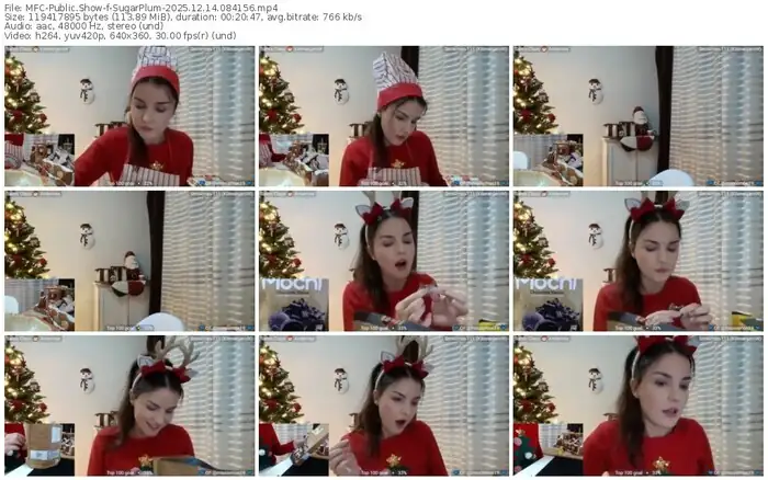 2025/12/14/mfc-sugarplum-08-41-56