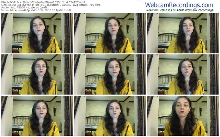 2025/12/14/mfc-theperfectnam-02-44-27