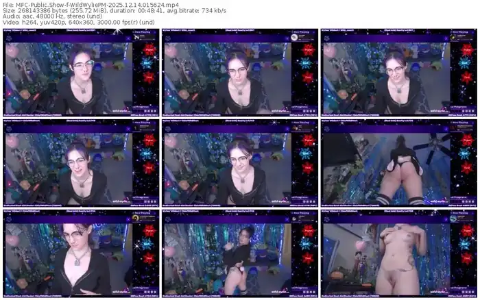 2025/12/14/mfc-wildwyliepm-01-56-24