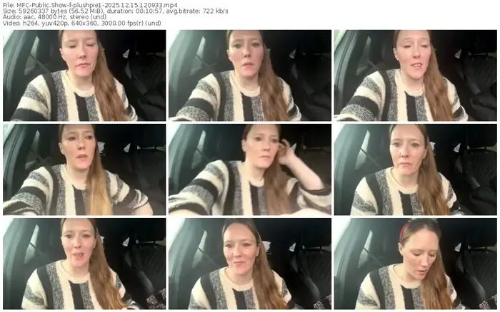 2025/12/15/mfc-plushpie1-12-09-33