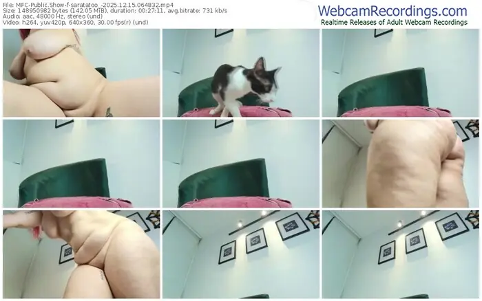 2025/12/15/mfc-saratatoo_-06-48-32