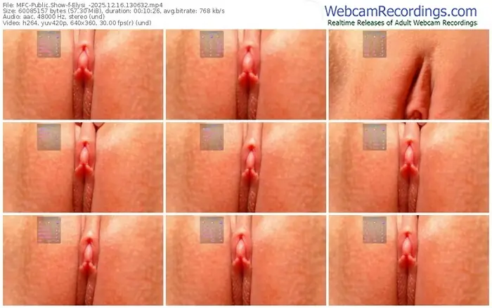 2025/12/16/mfc-elysi_-13-06-32