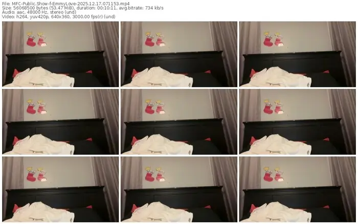 2025/12/17/mfc-emmylove-07-11-53
