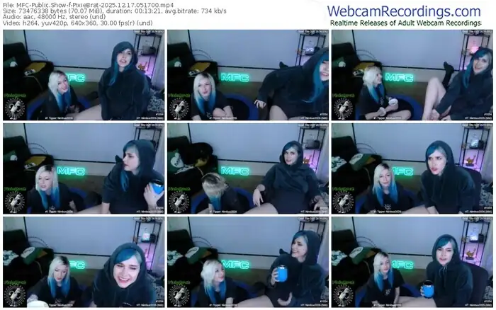 2025/12/17/mfc-pixiebrat-05-17-00