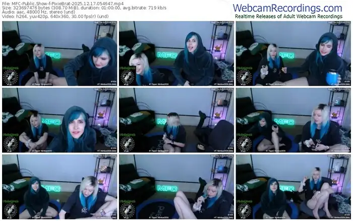 2025/12/17/mfc-pixiebrat-05-46-47