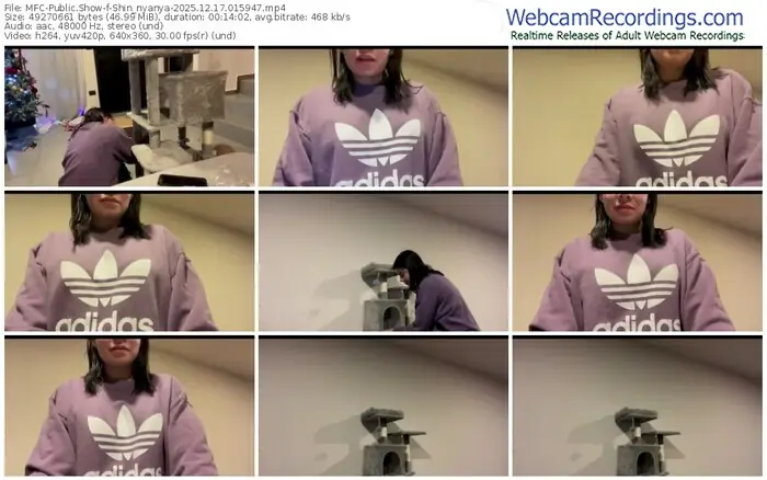 2025/12/17/mfc-shin_nyanya-01-59-47